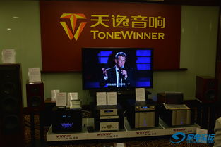 聲臨其境，匠心之作 2015廣州國際音響唱片展上的廣州天逸電子